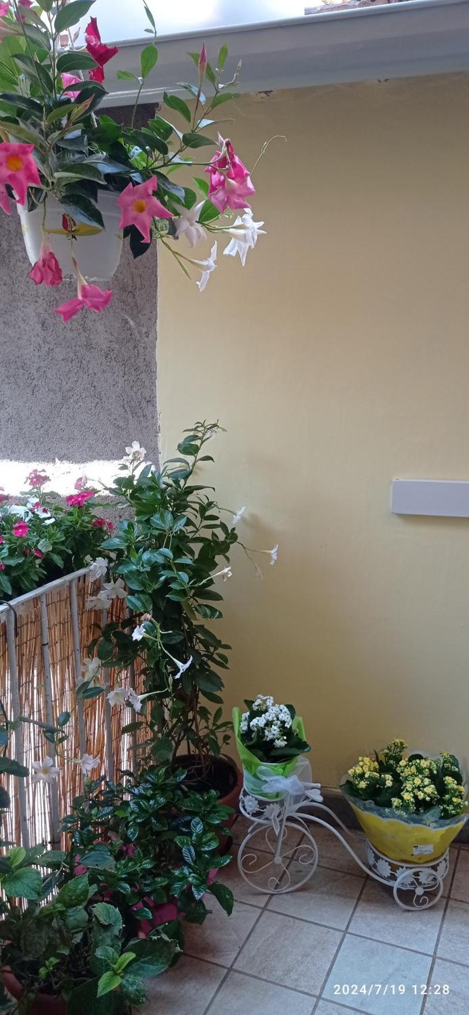 Ferienwohnung Residenza Del Sepale Viterbo Exterior foto